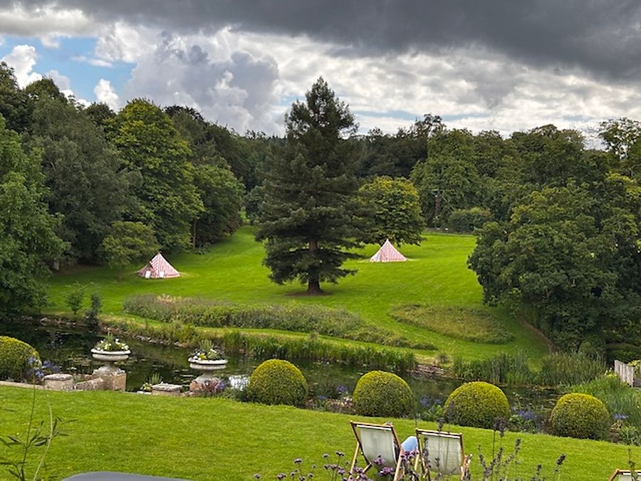 Green garden terraces and tall trees under a wide sky